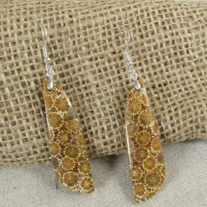 Gemstone Drop Earrings Fossilized